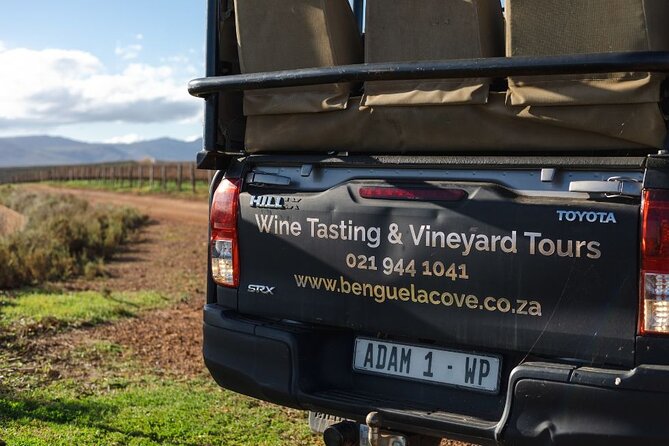 Vineyard Safari and Wine Tasting in Hermanus with Guide - Who will enjoy this best