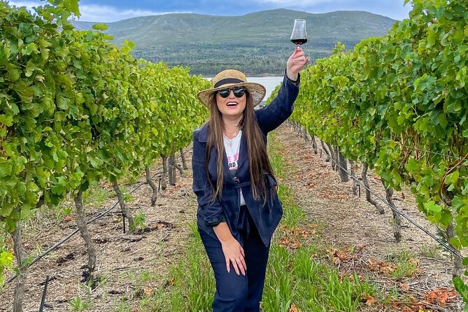 Vineyard Safari and Wine Tasting in Hermanus with Guide - Practical details for a smooth visit