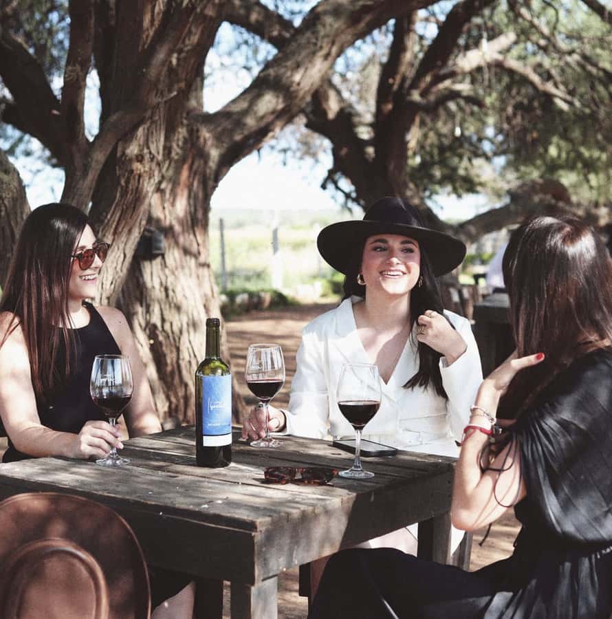 VINEYARD TOUR - Key points at a glance