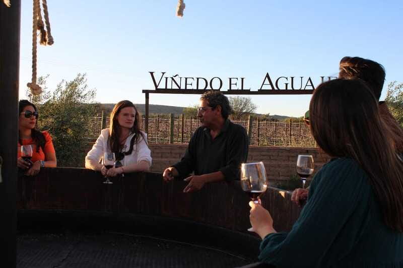 VINEYARD TOUR - Hacienda de Letras and the food pairing lesson