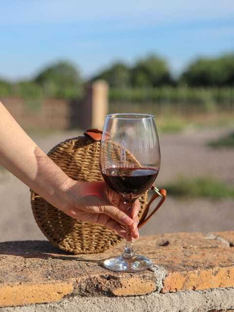 VINEYARD TOUR - Six wines, modest pairings, and the extra meal cost