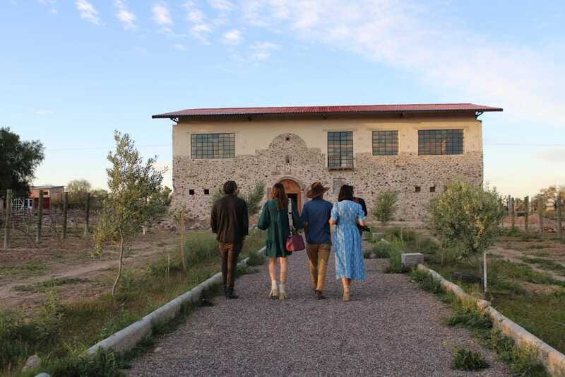 VINEYARD TOUR - Who will get the most from this outing