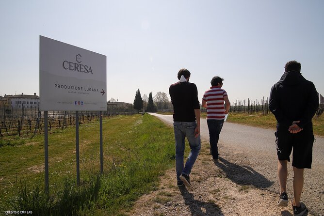 Vineyard Tour and Tasting of Lugana Wines - Seeing the cellar and winemaking equipment