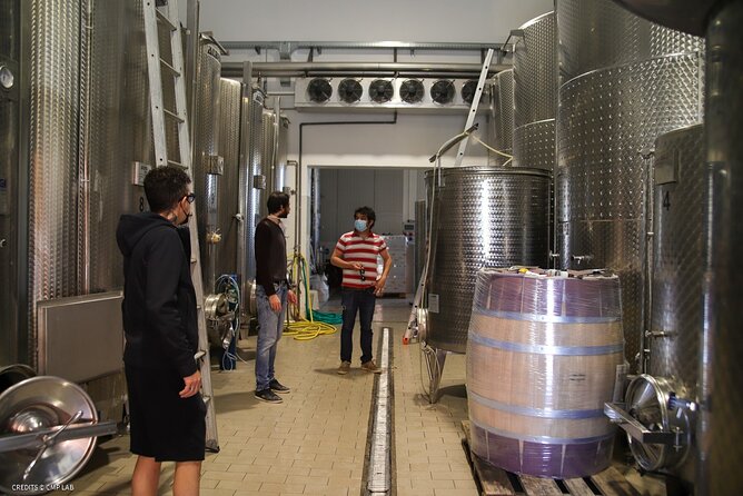 Vineyard Tour and Tasting of Lugana Wines - Four wines in the old tasting cellar