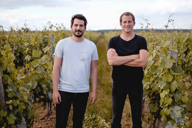 Vineyard tour and wine tasting in Davron - Timing is part of the experience