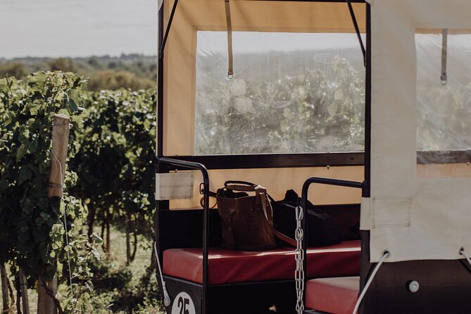 Vineyard tour and wine tasting in Davron - Weather, group size, and who should book