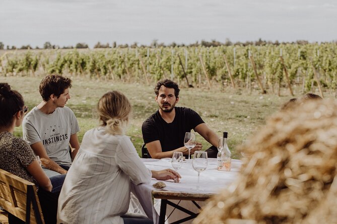 Vineyard tour and wine tasting in Davron - How this compares with a longer wine day