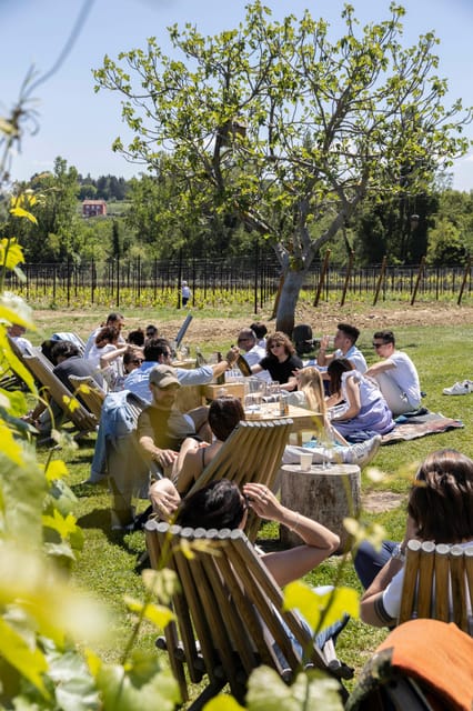 Vineyard Tour and Winery Visit with Tasting of Wines of Romagna - Key points to know before you book