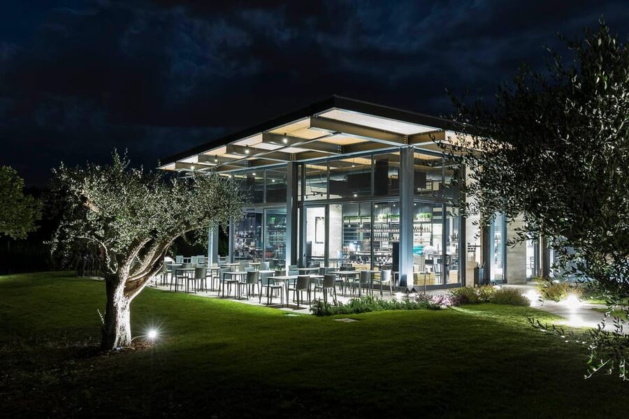 Vineyard Tour and Winery Visit with Tasting of Wines of Romagna - Sangiovese, Rebola, and Romagna in the glass