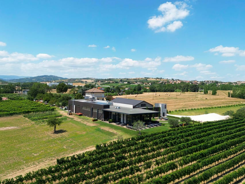 Vineyard Tour and Winery Visit with Tasting of Wines of Romagna - Who will enjoy Enio Ottaviani most