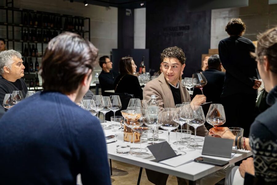 Vineyard Tour and Winery Visit with Tasting of Wines of Romagna - Should you book this Romagna winery visit?