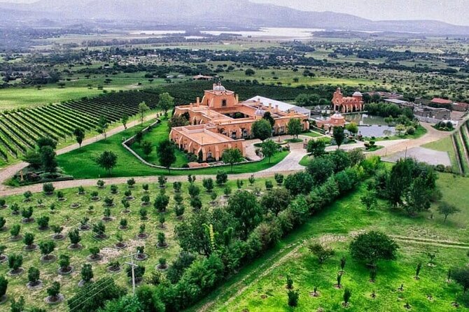 Vineyard, tour, tasting and fun in San Miguel de Allende - Key points to know before booking