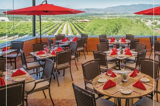 Vineyard, tour, tasting and fun in San Miguel de Allende - The vineyard setting is part of the attraction
