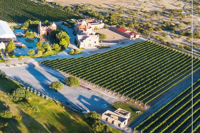 Vineyard, tour, tasting and fun in San Miguel de Allende - Transportation deserves a careful check