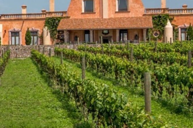 Vineyard, tour, tasting and fun in San Miguel de Allende - A clear introduction to Mexican wine