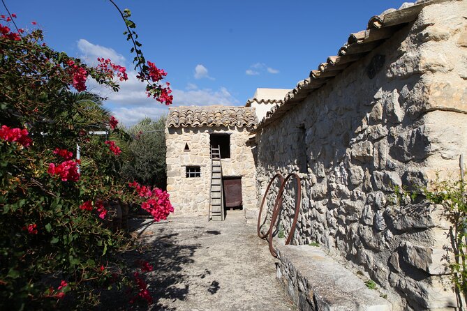 Vineyard Tour, Wine and Sicilian delicacies tasting at a Winery in Agrigento - A family winery in the Agrigento countryside