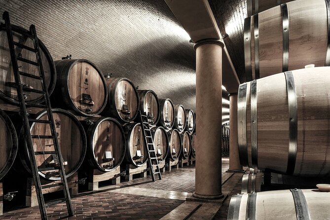 Vineyard Tour with Light Lunch in Valpolicella - The tasting: six wines and Grappa di Amarone