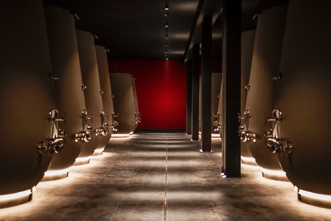 Vineyard Tour with Light Lunch in Valpolicella - Cellar aging, barriques, and concrete amphorae