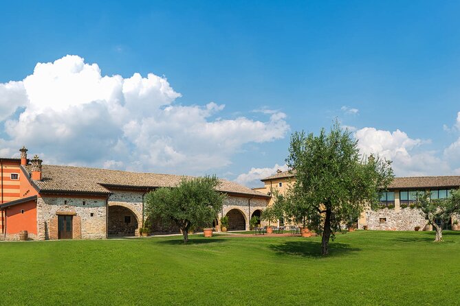 Vineyard tour with tasting of 4 wines on Garda Hills - A winery visit near Caprino Veronese