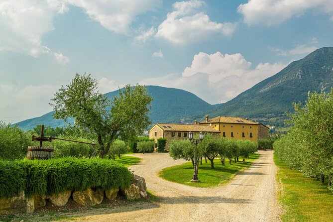 Vineyard tour with tasting of 4 wines on Garda Hills - Four wines, four chances to compare