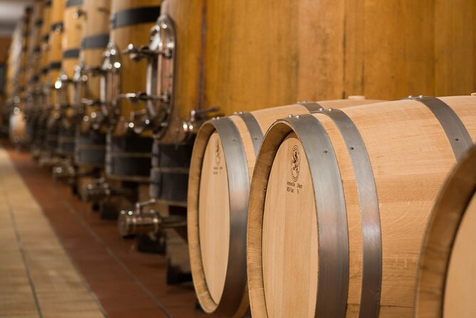 Vineyard tour with tasting of 4 wines on Garda Hills - What you get for $49.71
