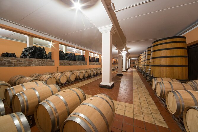 Vineyard tour with tasting of 4 wines on Garda Hills - Who will enjoy this experience most