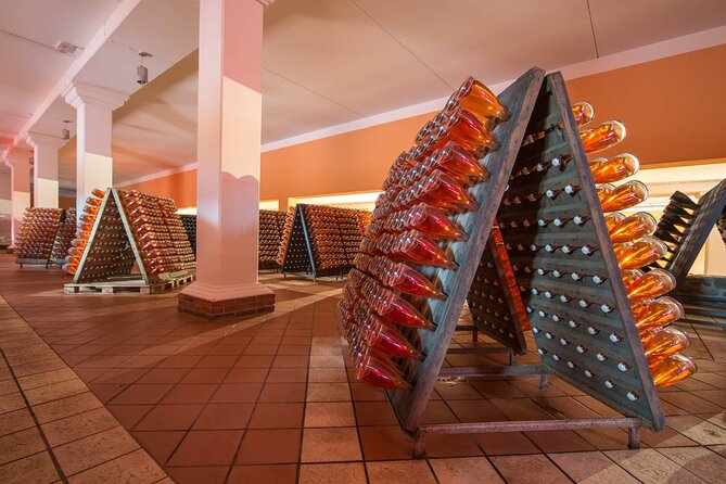 Vineyard tour with tasting of 4 wines on Garda Hills - What to know before you go
