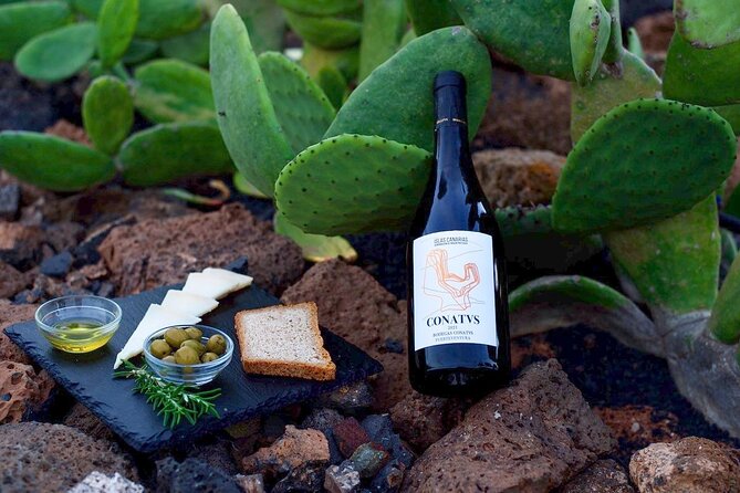Vineyard tour with wine tasting and local products - Inside the winery, from grapes to bottling