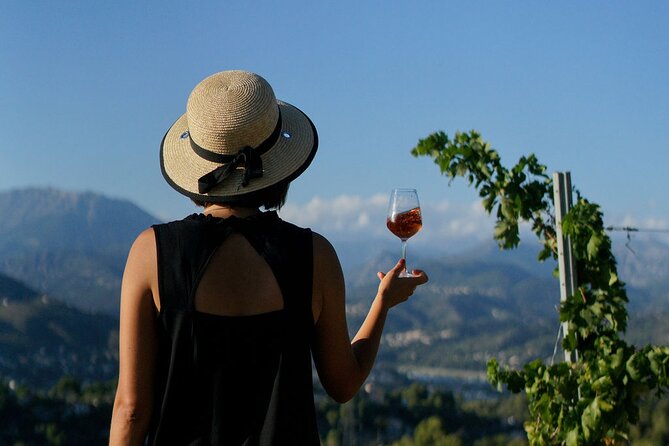 Vineyard Tour with Wine Tasting within Nice city borders - Why Chateau de Bellet Makes a Good Nice Excursion