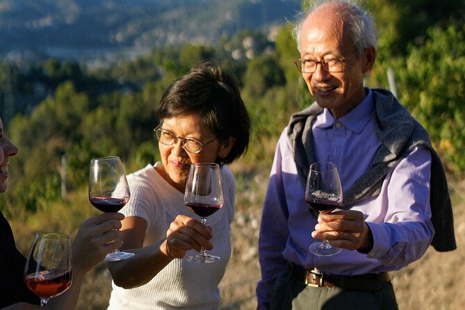 Vineyard Tour with Wine Tasting within Nice city borders - Stay for a Glass and the View
