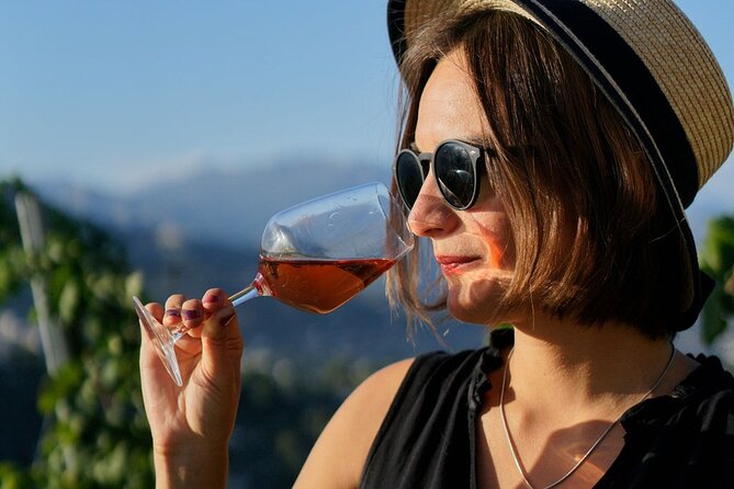 Vineyard Tour with Wine Tasting within Nice city borders - Getting to 482 Chem. de Saquier