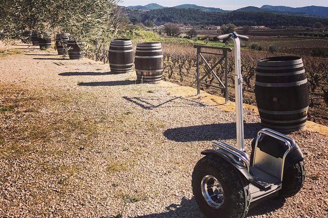 Vineyard visit in Gyropode, visit of Cave & Tasting Wines of Bandol - Key points to know before booking