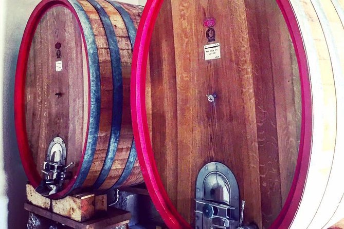 Vineyard visit in Gyropode, visit of Cave & Tasting Wines of Bandol - The family story behind Domaine Lou Capelan