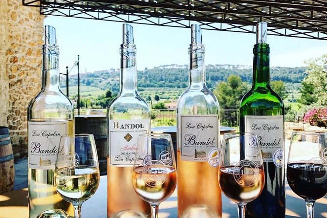 Vineyard visit in Gyropode, visit of Cave & Tasting Wines of Bandol - Six wines, three colors, and a clear comparison