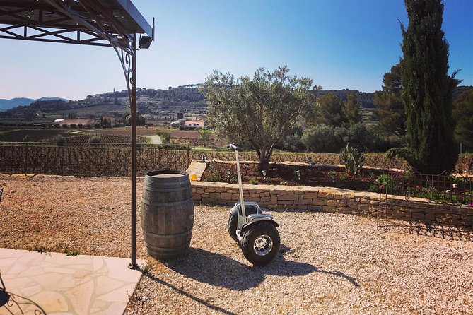 Vineyard visit in Gyropode, visit of Cave & Tasting Wines of Bandol - Why the Bandol setting matters