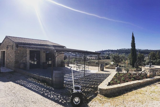 Vineyard visit in Gyropode, visit of Cave & Tasting Wines of Bandol - Who will enjoy this visit most
