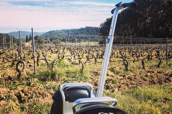 Vineyard visit in Gyropode, visit of Cave & Tasting Wines of Bandol - What the 20-minute gyropode route adds