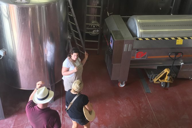 Vineyard visit with local appetisers and wine tasting - Learning the estate’s story and grape varieties
