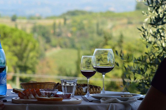 Vineyard visit with local appetisers and wine tasting - Dietary choices and family suitability