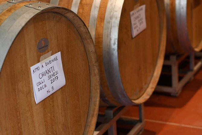 Vineyard visit with local appetisers and wine tasting - What happens at the 4 p.m. start