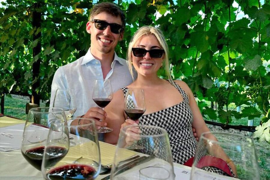 Vineyard Walk, Lunch or Dinner with Wine Tasting - Lunch or dinner with a view of the vineyards