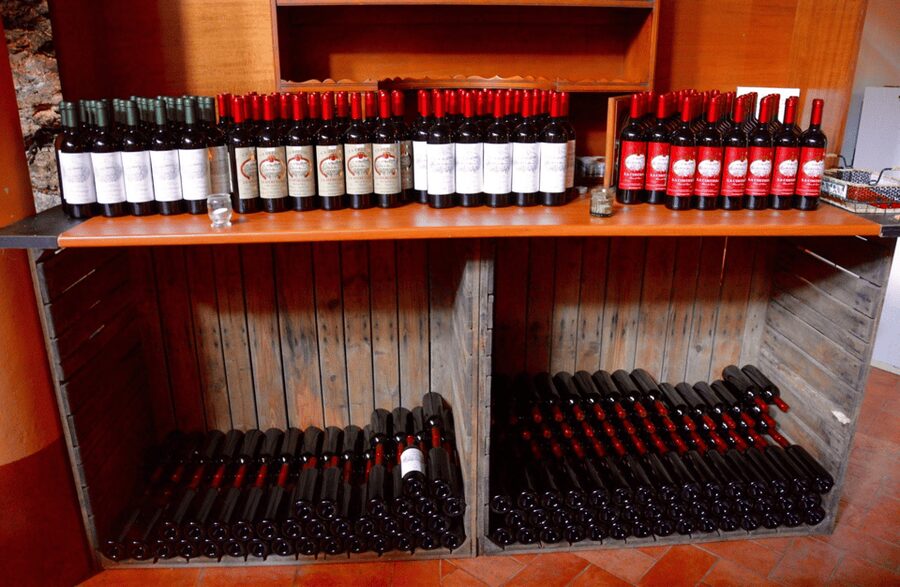 Vineyard Walk & Wine Tasting in the Berici Hills of Vicenza - How the two hours are divided