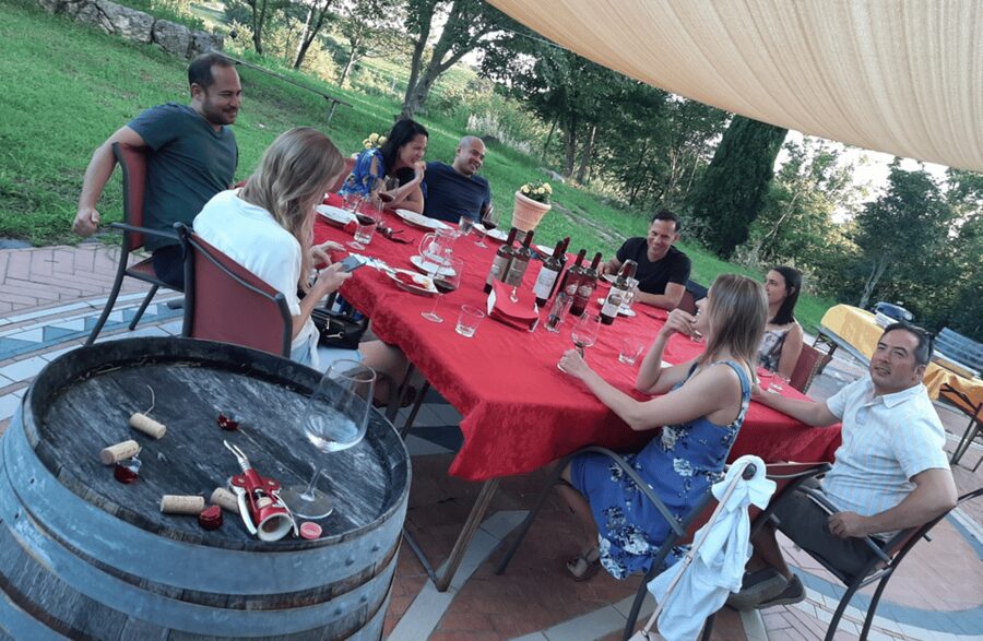 Vineyard Walk & Wine Tasting in the Berici Hills of Vicenza - Who should book this winery experience?