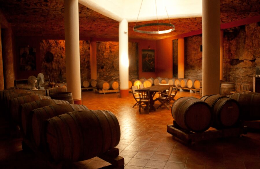 Vineyard Walk & Wine Tasting in the Berici Hills of Vicenza - Should you book Ca’ Bruzzo?