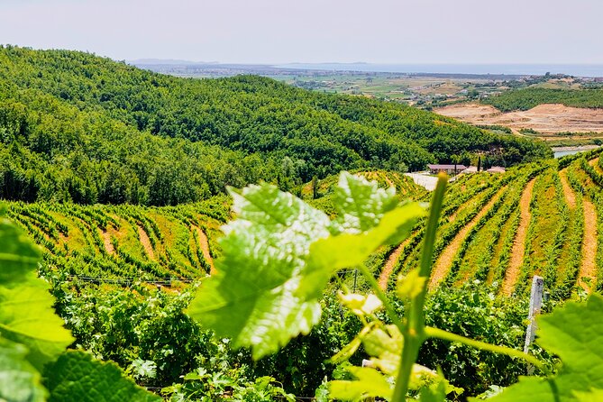 Vineyards, Albanian Wine Tasting & Boat Tour from Tirana/Durres - Why this Albanian wine trip is different