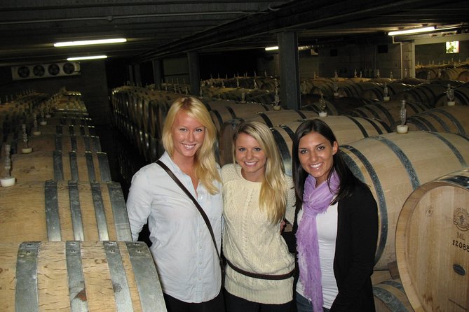 Vineyards Honey and Black Sand Beaches from Auckland - Three wineries and a wild west coast