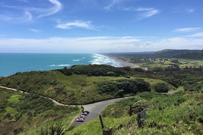 Vineyards Honey and Black Sand Beaches from Auckland - Practical details before you book