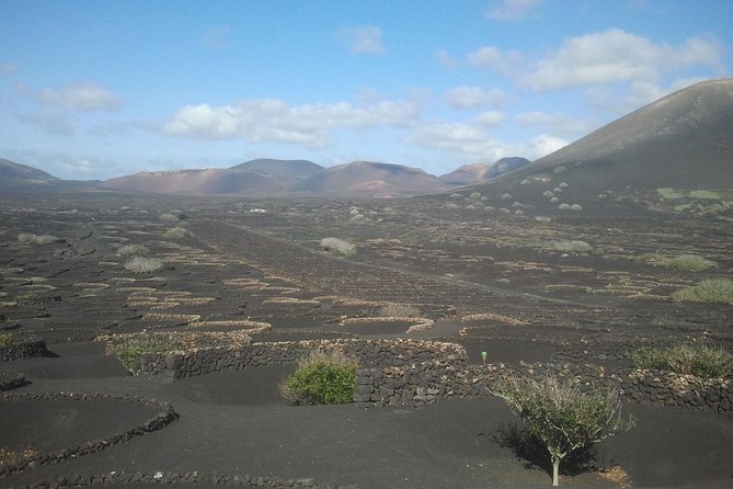 Vineyards of La Geria hiking tour - The 9.5-kilometer route and what it feels like