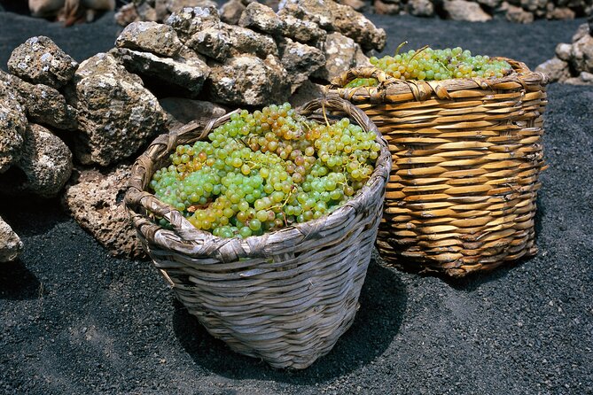 Vineyards of La Geria hiking tour - Small groups, guide quality, and pace