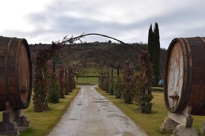 Vineyards tour with Electric Jeep with wine tasting - Inside the winery: tanks, barrels, and temperature control